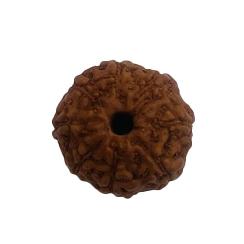 8 Mukhi Rudraksha