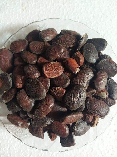 KArRANJ SEEDS