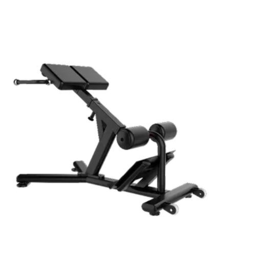 Energie Fitness J026 Roman Chair Machine Application Tone Up Muscle