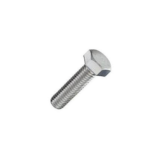 Stainless Steel Bolt