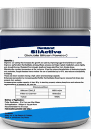 Devamrut Silactive - Silicon