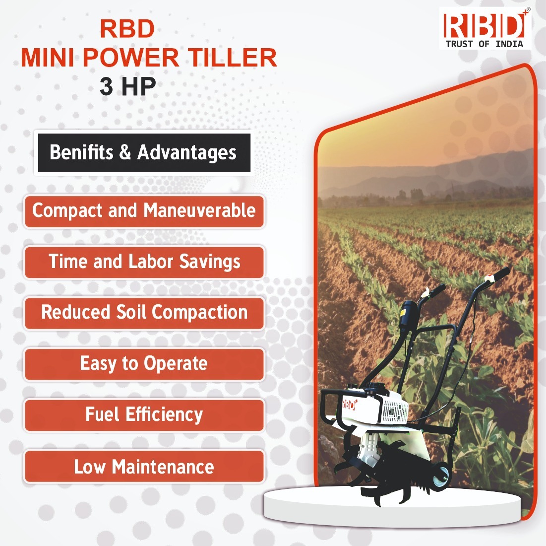 RBD 3HP MINI TILLER