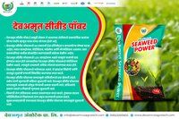 SEAWEED POWDER Devamrut Seaweed Power