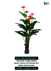 Easy To Clean Anthurium 2086