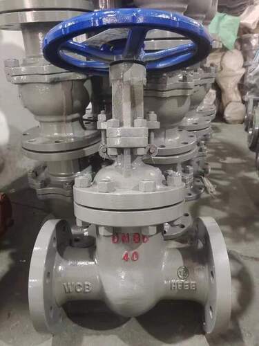 Mild Steel Gate Valve