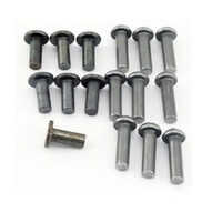 Scaffolding Metal Rivet - Color: Sliver
