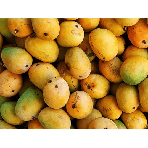 Fresh Mango