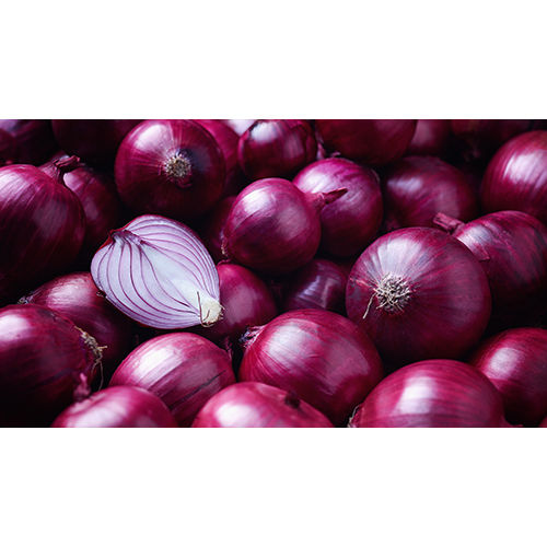 Fresh Red Onion - Raw, Bulk Quantity | Pesticide-Free, High in Vitamins and Antioxidants, Ideal for Roasting, Baking, SautÃ©ing, and Pickling