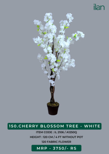 cherry blossom tree - WHITE 2106