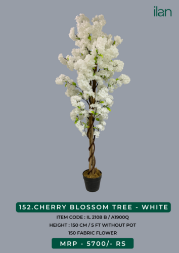 cherry blossom tree - WHITE 2108 B
