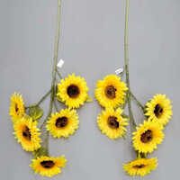 Yellow 5 Head Sun Flowers