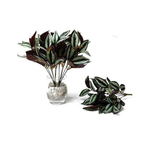 7 Head Wandering Jew Bush Plant