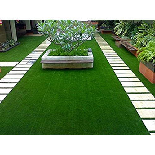 Durable Green Lawn Grass