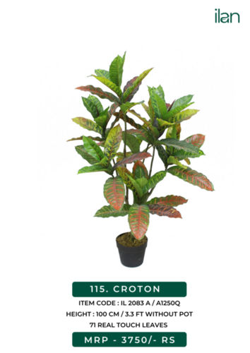 CROTON 2083 A