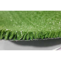Astro Turf For Cricket Pitch - Pe+pp Material, 25 Mtr X 2 Mtr, Biogreen Color, 15 Mm Pile Height | Durable, Uv Resistant, Eco-friendly, Washable, Easy To Install