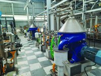 Edible Oil Refinery Plant - Capacity: 50-500 Ton/Day