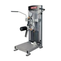 Energie Fitness Multi Hip Machine