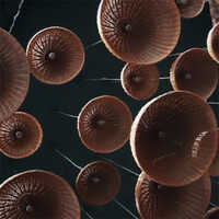 Handmade Lampshades - Color: As Per Availability