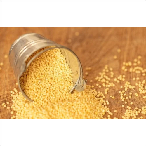 Jowar Millets