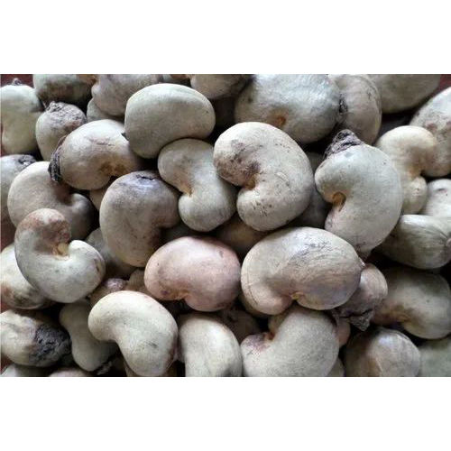 Common Raw Cashew Nuts