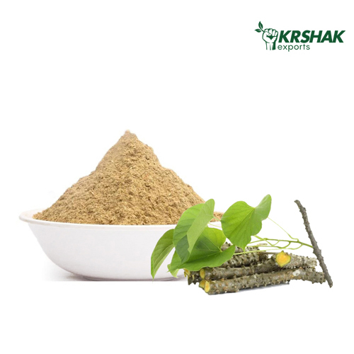 Giloy Powder