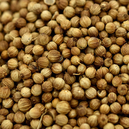 Coriander Seed