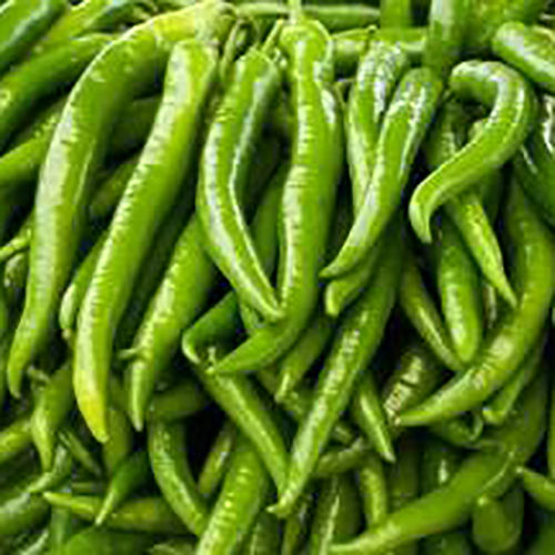 Green Chilli