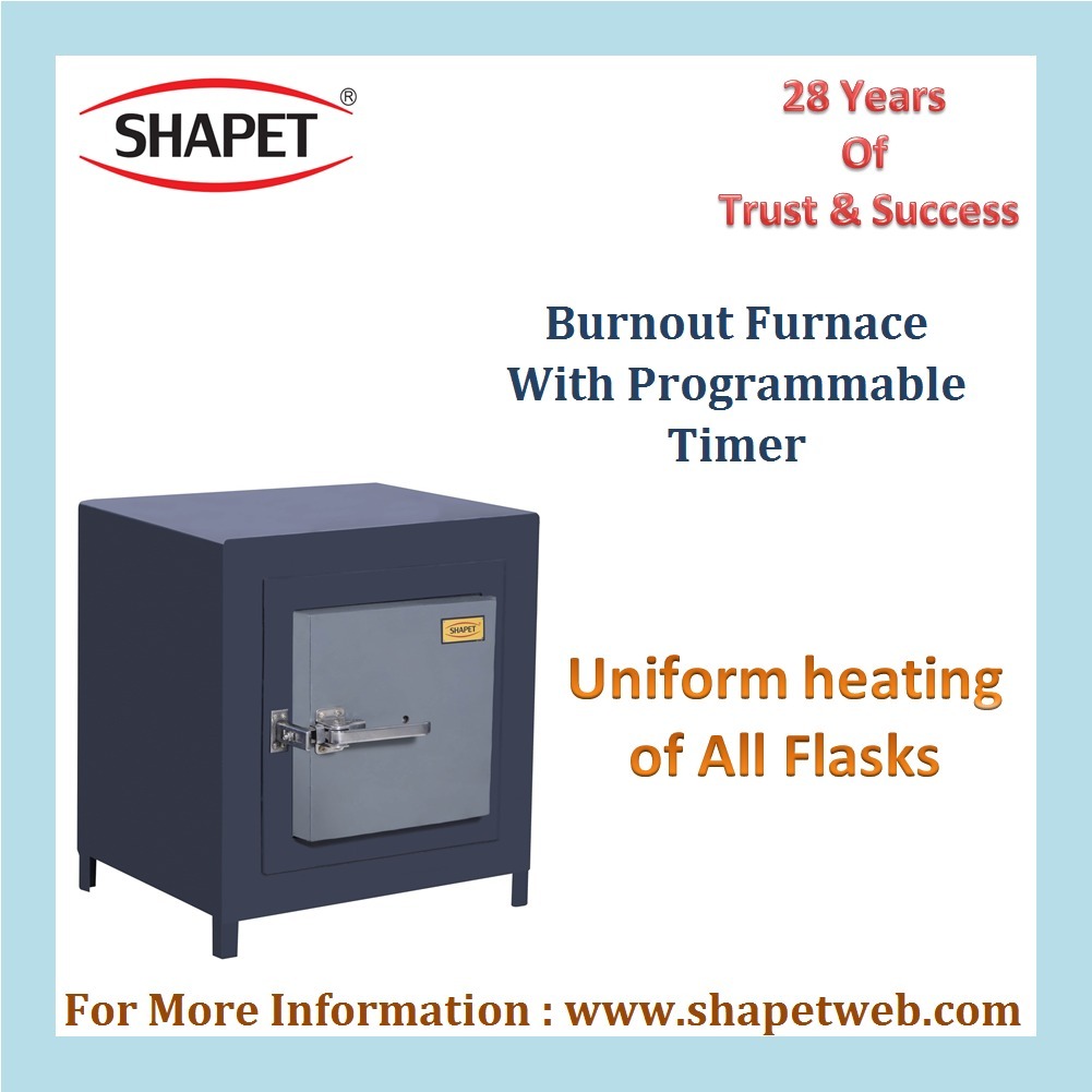 Burnout Furnace with Programmable Timer