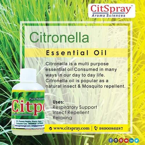 Disinfectant Citronella oil