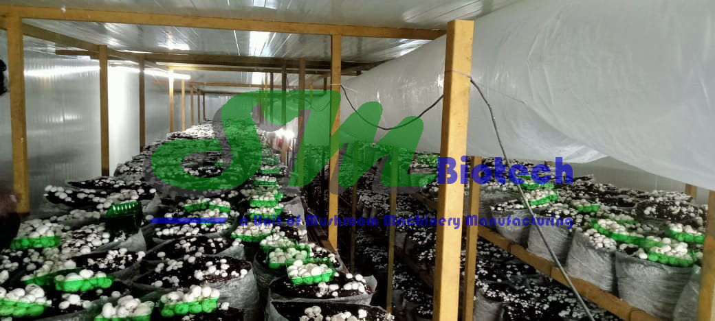 Mushroom Farming Services