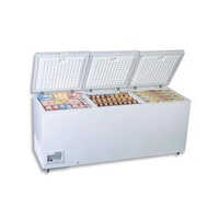 Western Deep Freezer