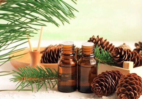 Fir Needle Oil Premium