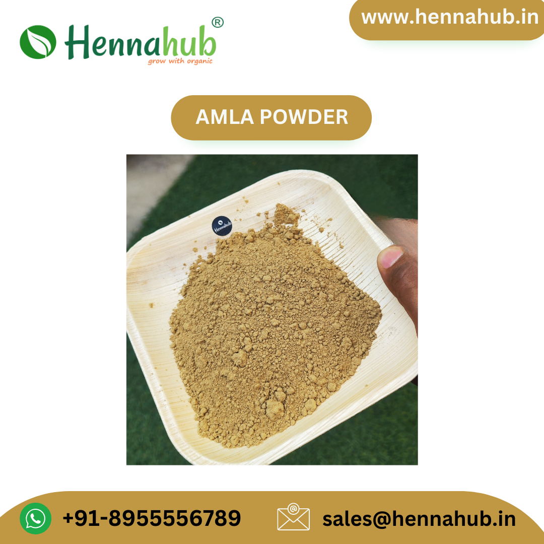 Manufacturer of 2023 New Indian Gooseberry Finest Quality Herbal Amla Powder high quality