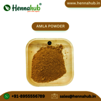 Top Indian wholesaler Orgasure Gooseberry Powder Amla Powder For Ayurvedic Medicine 200gm Box Pack