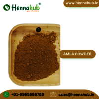 Top Indian wholesaler Orgasure Gooseberry Powder Amla Powder For Ayurvedic Medicine 200gm Box Pack