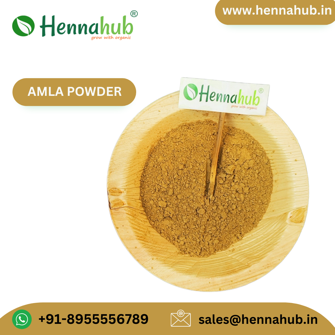 Top Indian wholesaler Orgasure Gooseberry Powder Amla Powder For Ayurvedic Medicine 200gm Box Pack