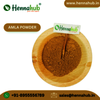 Top Indian wholesaler Orgasure Gooseberry Powder Amla Powder For Ayurvedic Medicine 200gm Box Pack