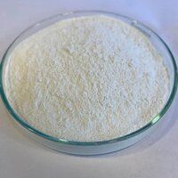 White Dicalcium Phosphate Powder