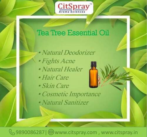 Natural Tea Tree Oil Ingredients: Herbal Extract