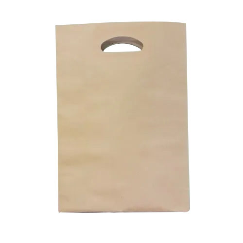 Brown Paper Shopping Bag