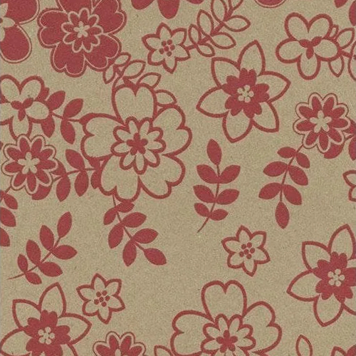 Printed Kraft Paper