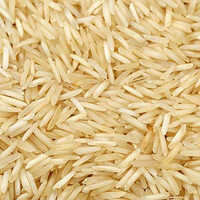 Long Grain Basmati Rice - Medium Grain High Purity | Fresh Nil Moisture Common Cultivation