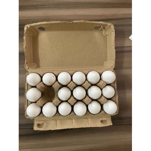 White Paper Egg Box