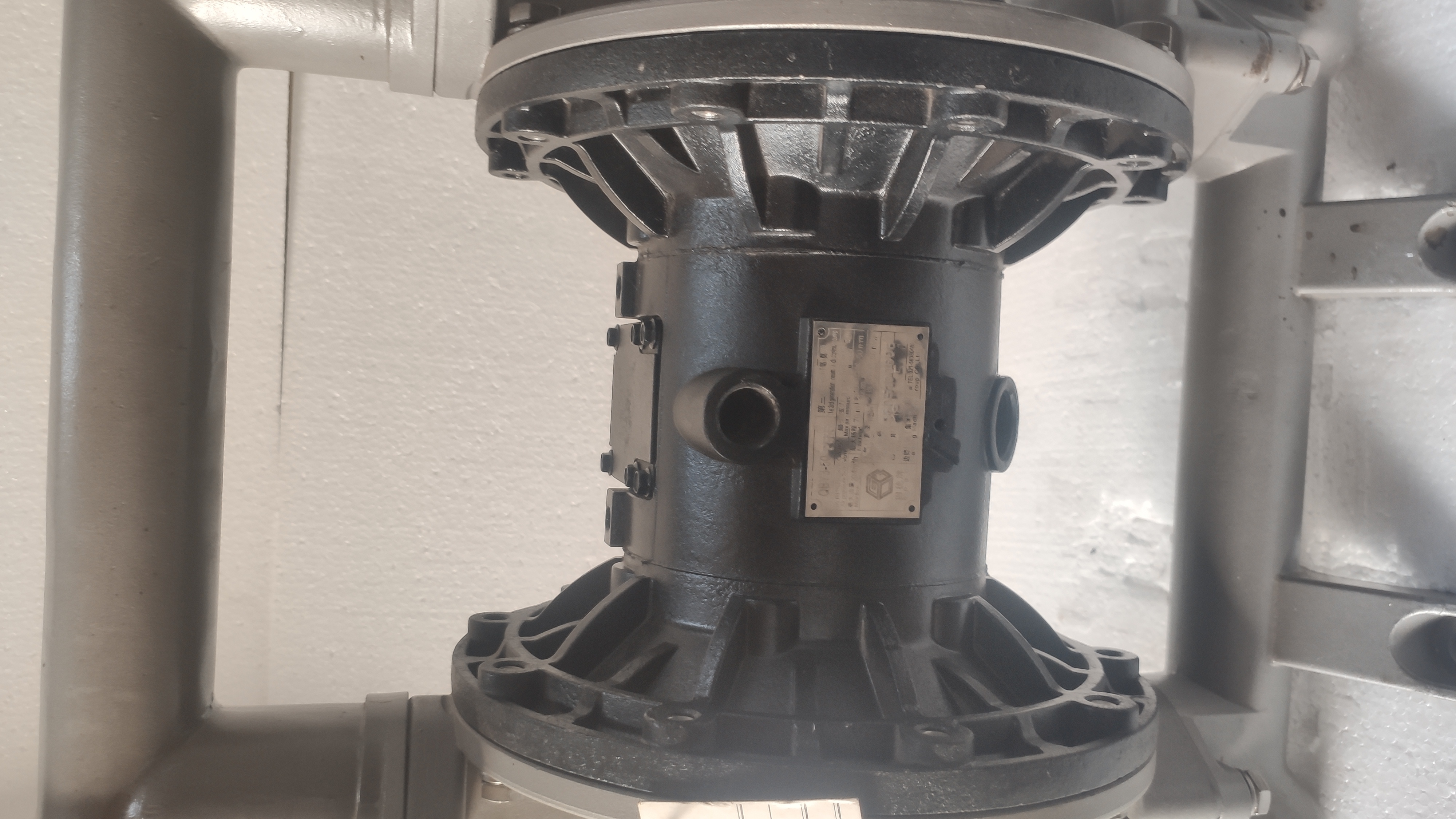 Godo Pump QBY3-50PFFF SS 2 inch Diaphragm Pump