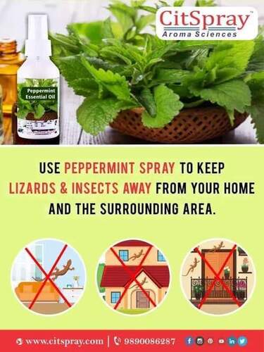 Peppermint Air Freshner