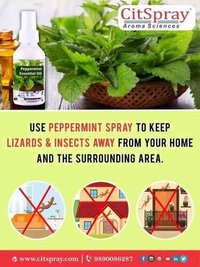 Peppermint Air Freshner
