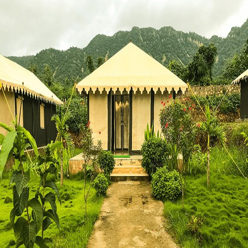 Forest Yoga and Meditation Zone Tents