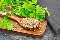 Coriander Seeds