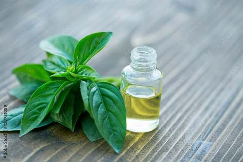 Holy Basil Oil Premium