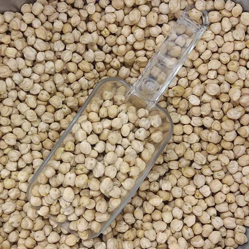 White Kabuli Chana